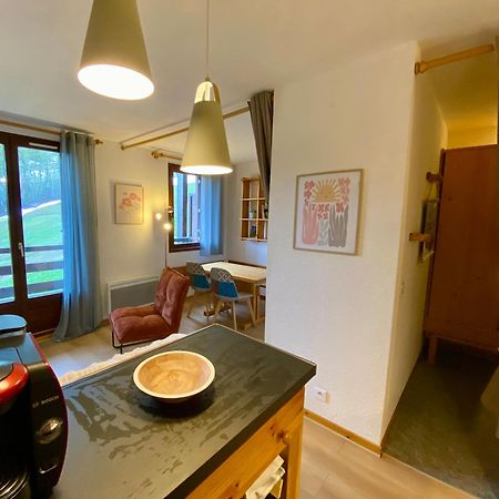Appartement Au Pied Des Pistes بوي-سانت-فينسينت المظهر الخارجي الصورة